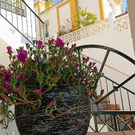 Πανσιόν Carmen -- Boutique By The Sea 3*